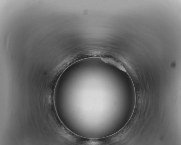 X0000090770313200707271533
