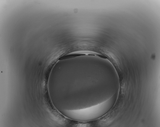 X0000090770314200707271533