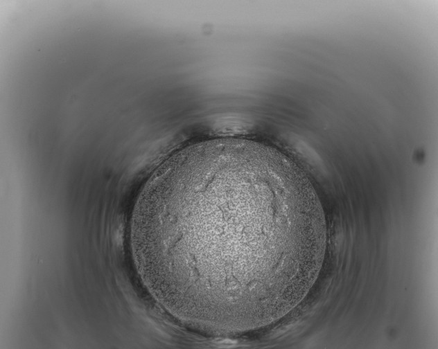 X0000090770315200707271533