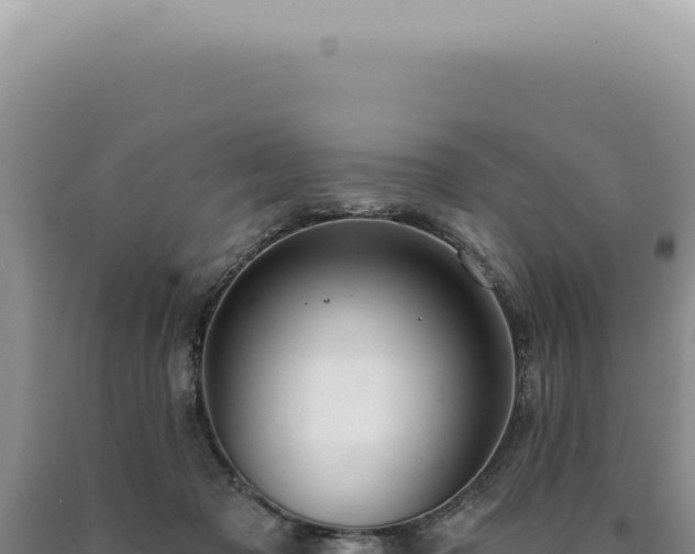 X0000090770317200707271533