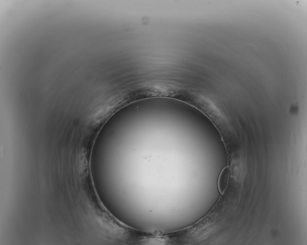X0000090770318200707271533