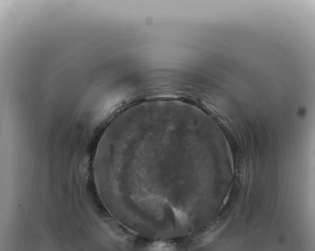X0000090770319200707271533