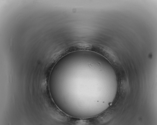 X0000090770320200707271532