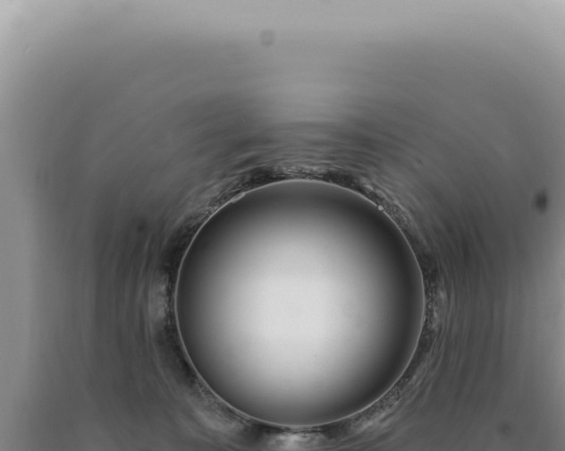 X0000090770323200707271532