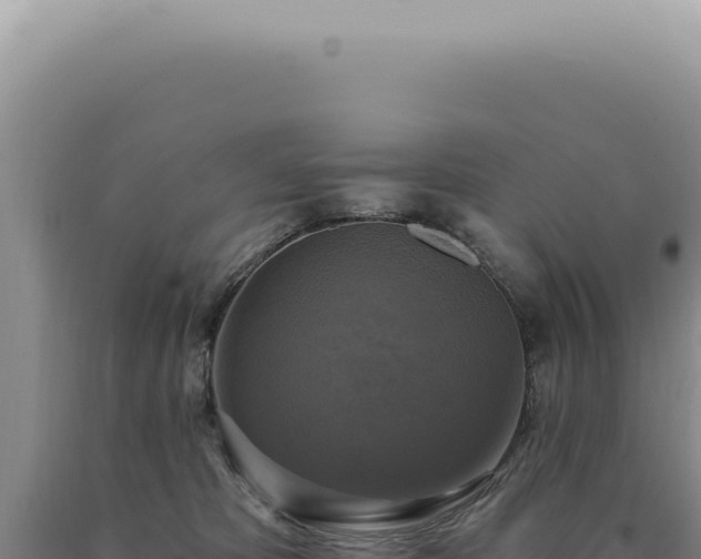 X0000090770325200707271532