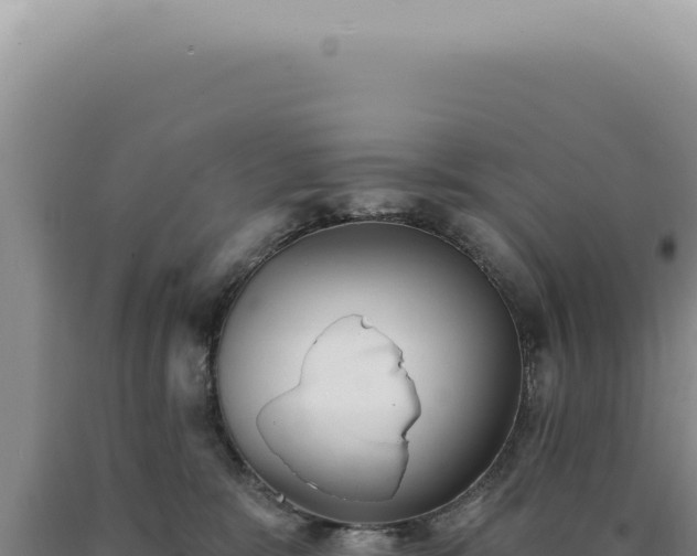 X0000090770327200707271532