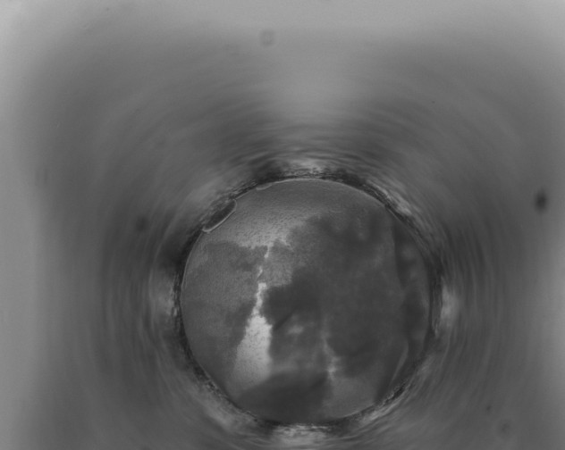 X0000090770331200707271532