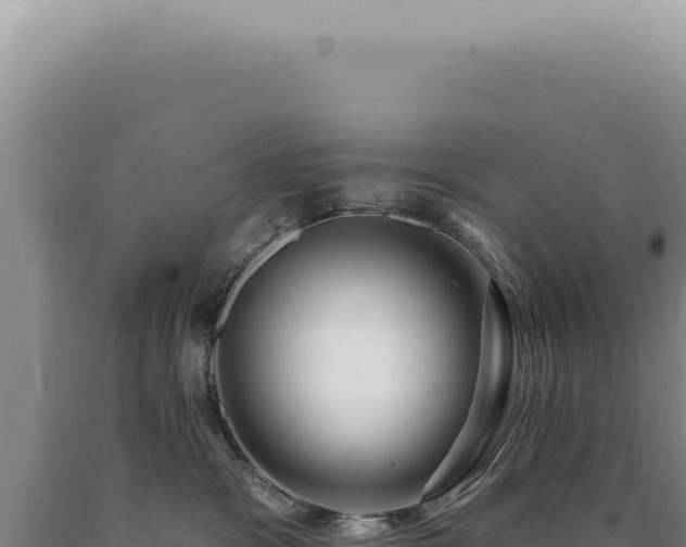 X0000090770333200707271532