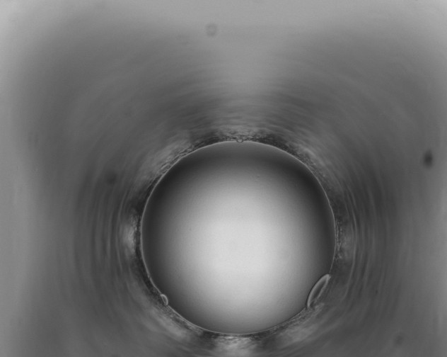 X0000090770334200707271532