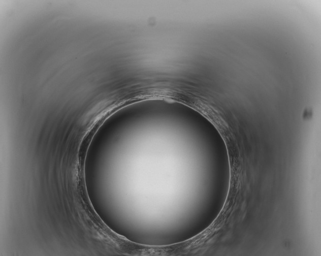 X0000090770338200707271532