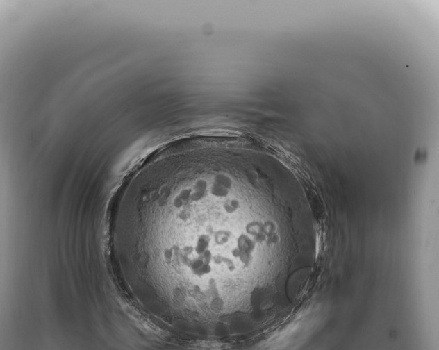X0000090770339200707271532