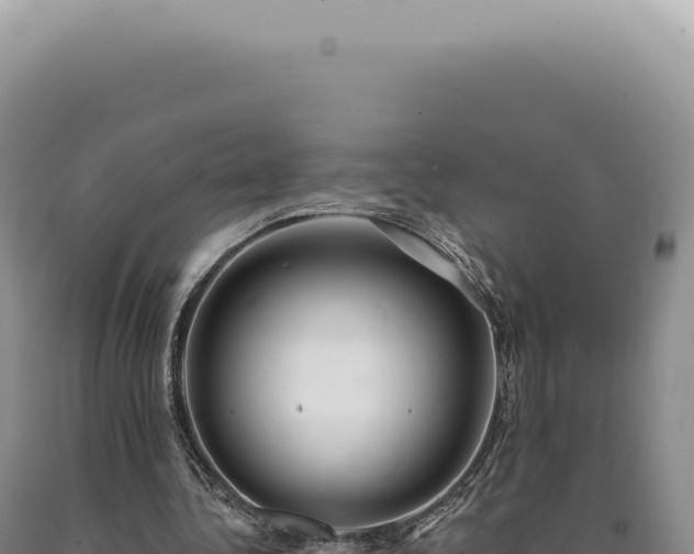 X0000090770340200707271532