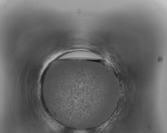 X0000090770342200707271532