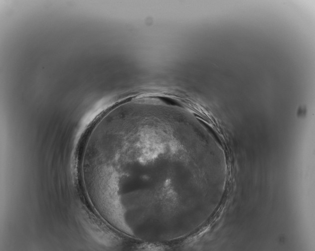 X0000090770343200707271532