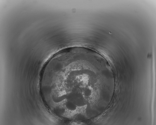 X0000090770346200707271532