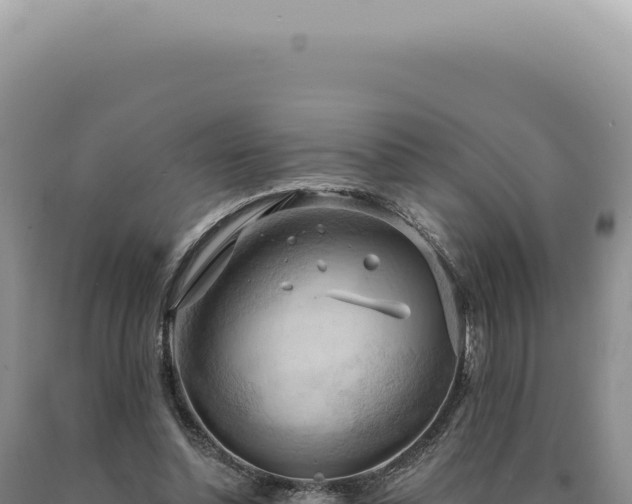 X0000090770348200707271532
