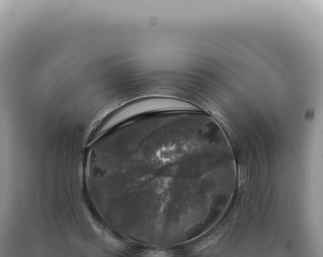 X0000090770349200707271532