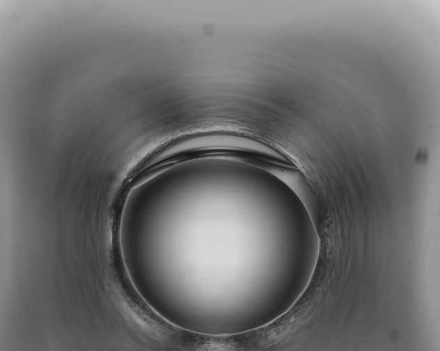 X0000090770350200707271532