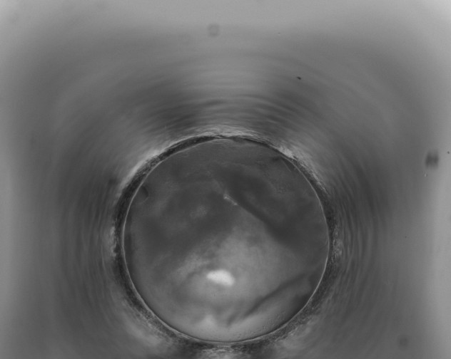 X0000090770351200707271532