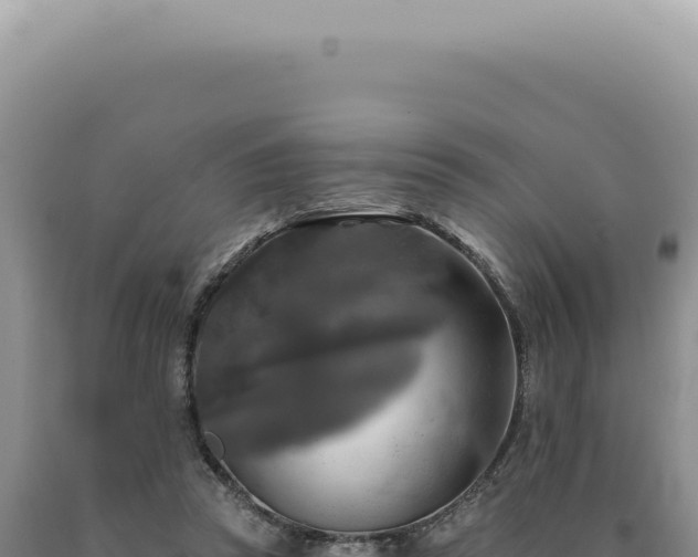 X0000090770353200707271532