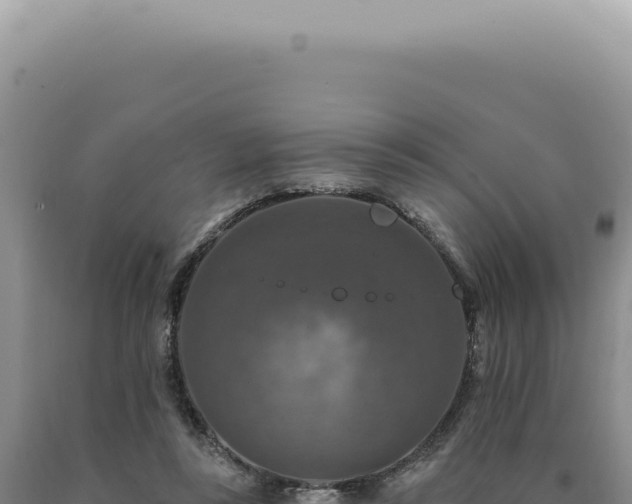 X0000090770355200707271532