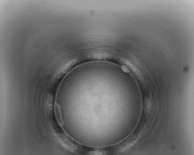 X0000090770356200707271532