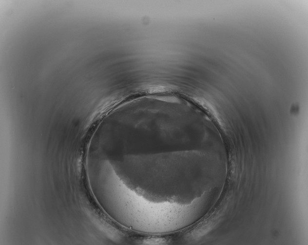 X0000090770357200707271532