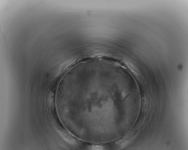 X0000090770361200707271532