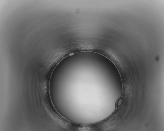 X0000090770362200707271532