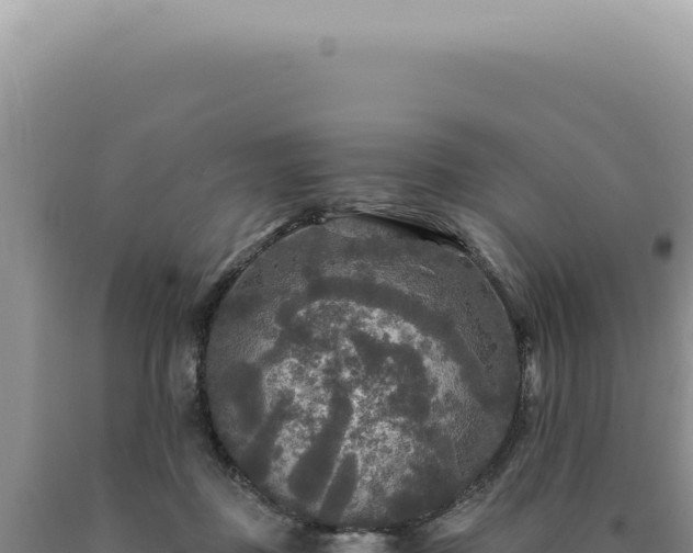 X0000090770363200707271532