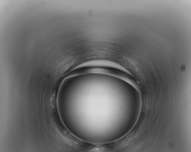 X0000090770364200707271532