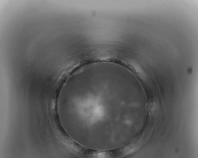 X0000090770365200707271532