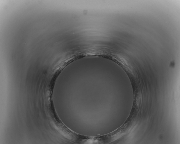 X0000090770366200707271532