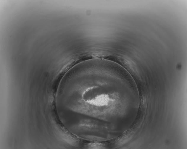 X0000090770367200707271532