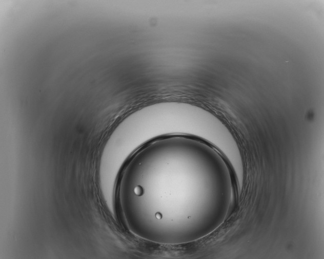 X0000090770368200707271532