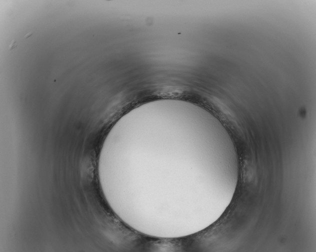 X0000090770370200707271532