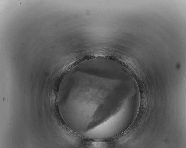 X0000090770371200707271532