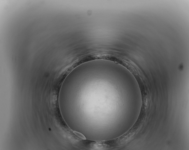 X0000090770372200707271532