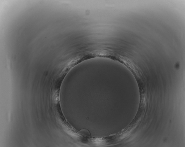 X0000090770383200707271532