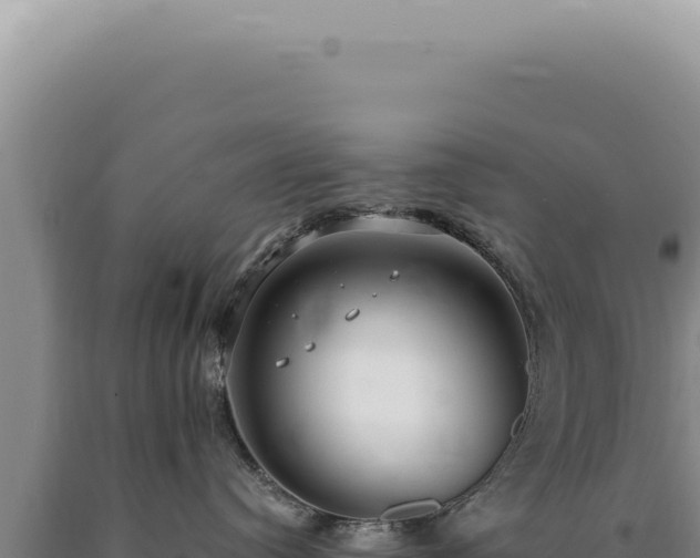 X0000090770384200707271532