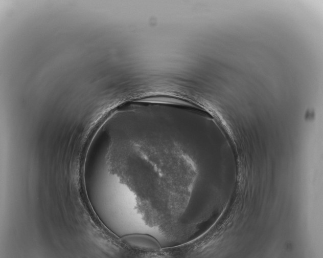 X0000090770386200707271532