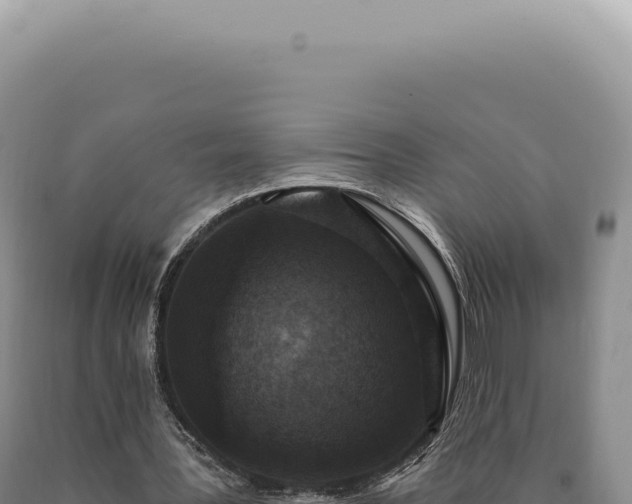 X0000090770387200707271532