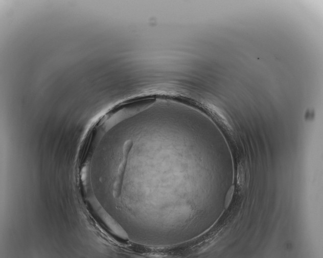 X0000090770388200707271532