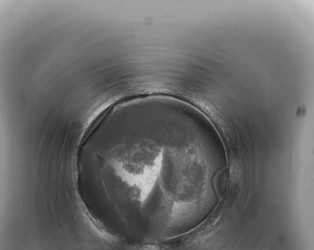 X0000090770390200707271532