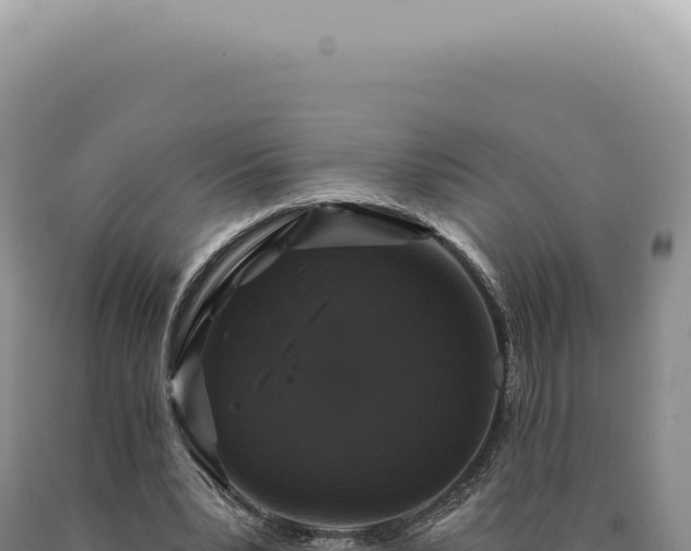 X0000090770391200707271532
