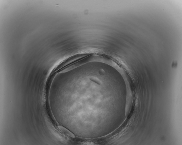 X0000090770392200707271532