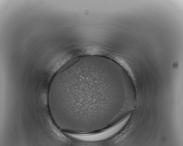 X0000090770393200707271532
