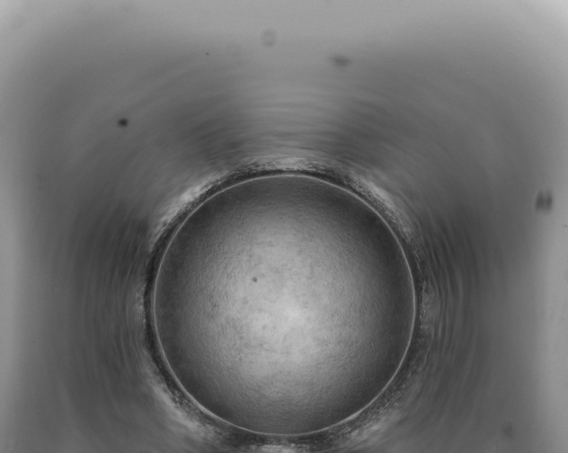 X0000090770394200707271532