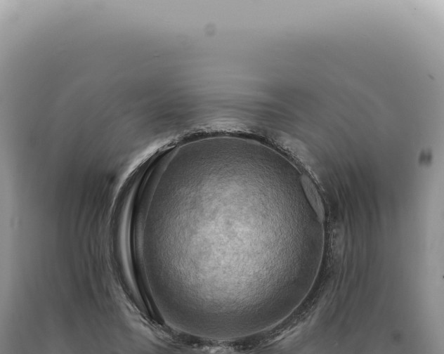X0000090770395200707271532