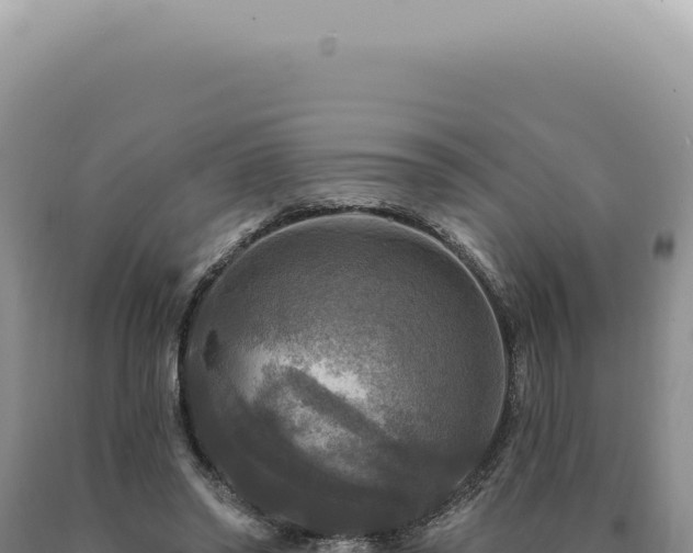 X0000090770398200707271532